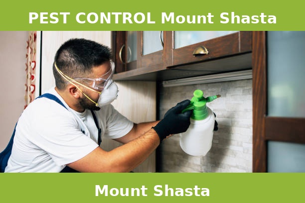 PEST CONTROL Mount Shasta